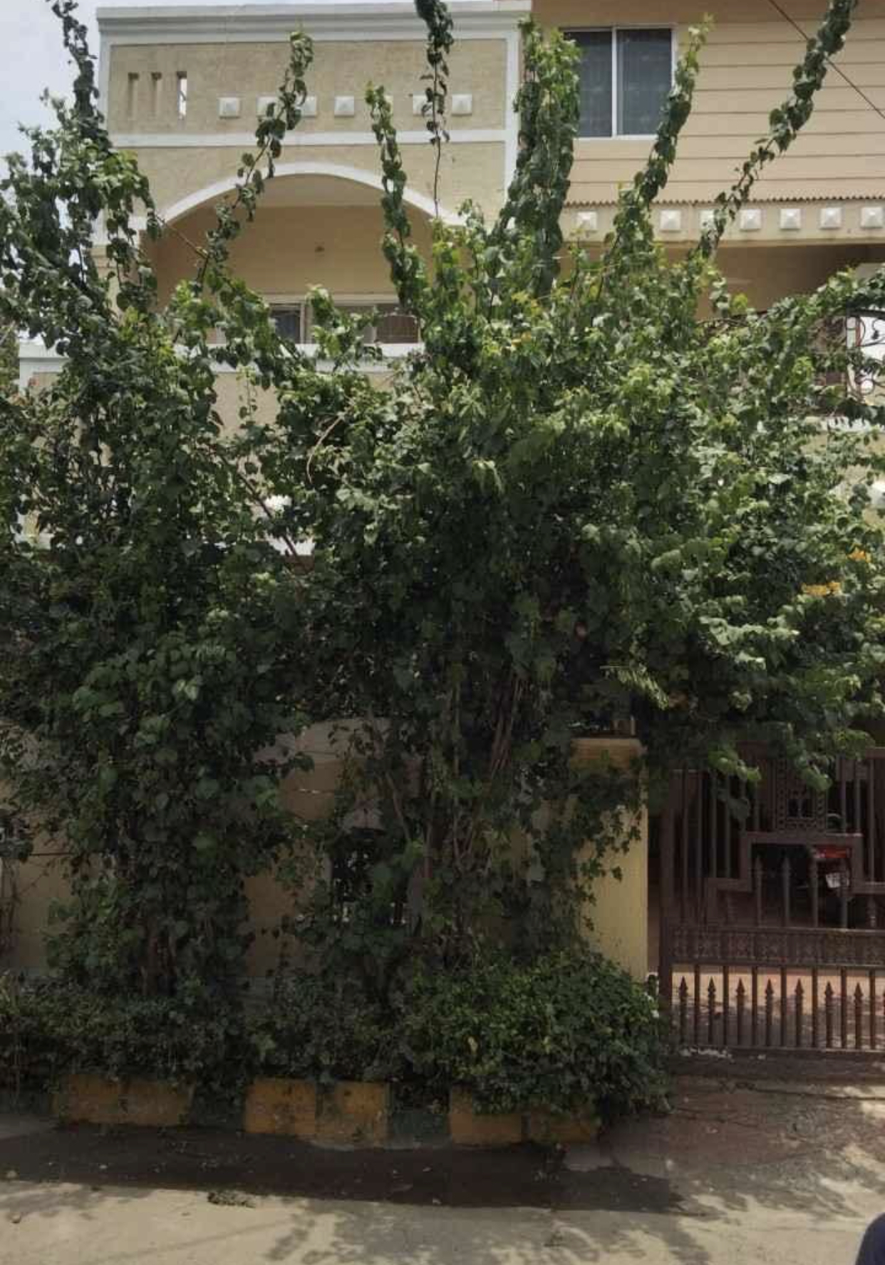 5B207230-F6CF-43C0-94E5-8D27C36A6C28