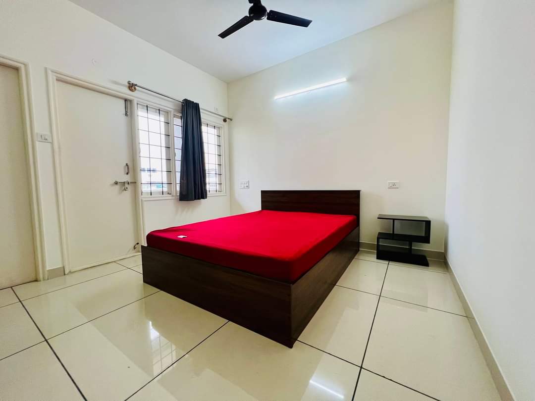 FB_IMG_1719239621559