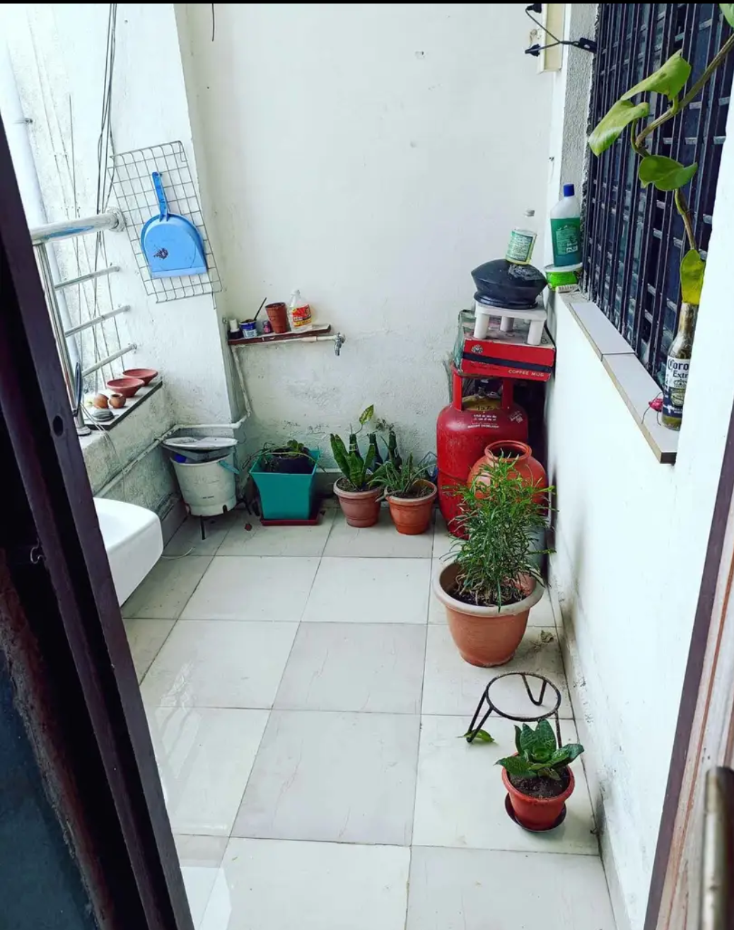 Screenshot_2024_1005_181457