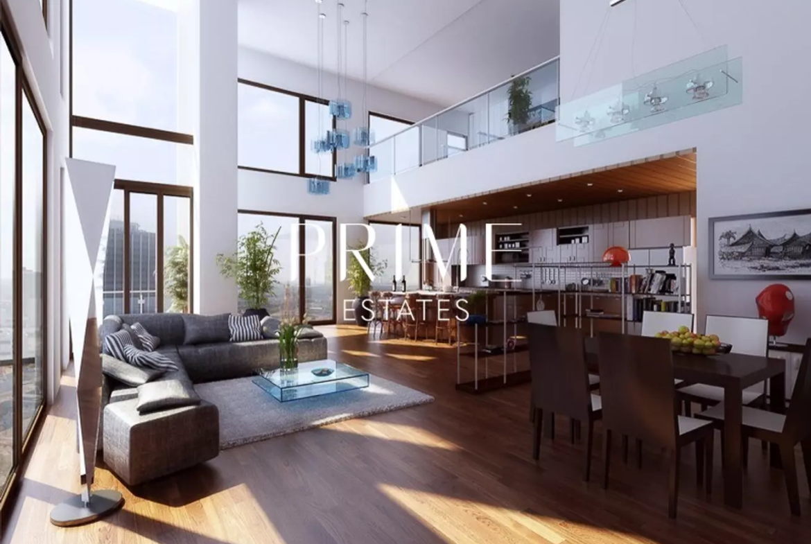Duplex Penthouse Living room view